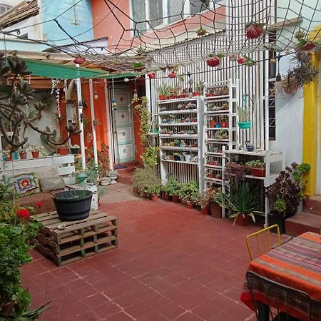 Espacio Floresta - Entre Plantas Y Arte Cartagena  Dış mekan fotoğraf