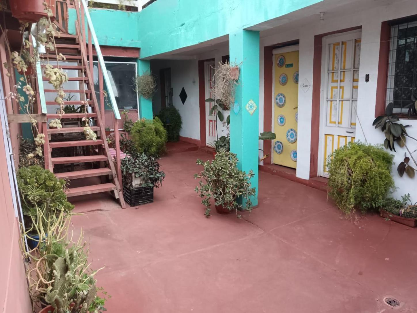 Espacio Floresta - Entre Plantas Y Arte Cartagena  Dış mekan fotoğraf