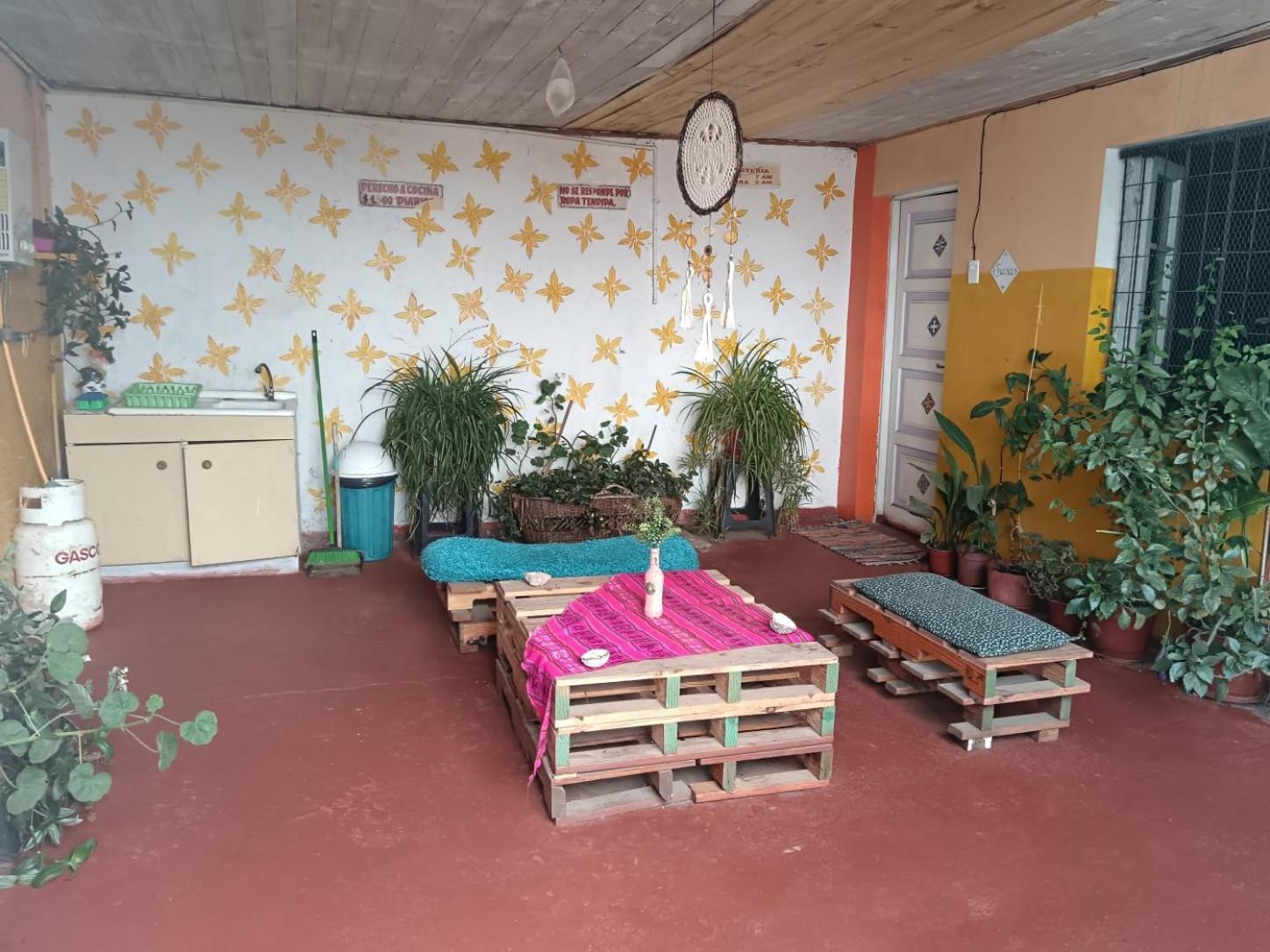 Espacio Floresta - Entre Plantas Y Arte Cartagena  Dış mekan fotoğraf