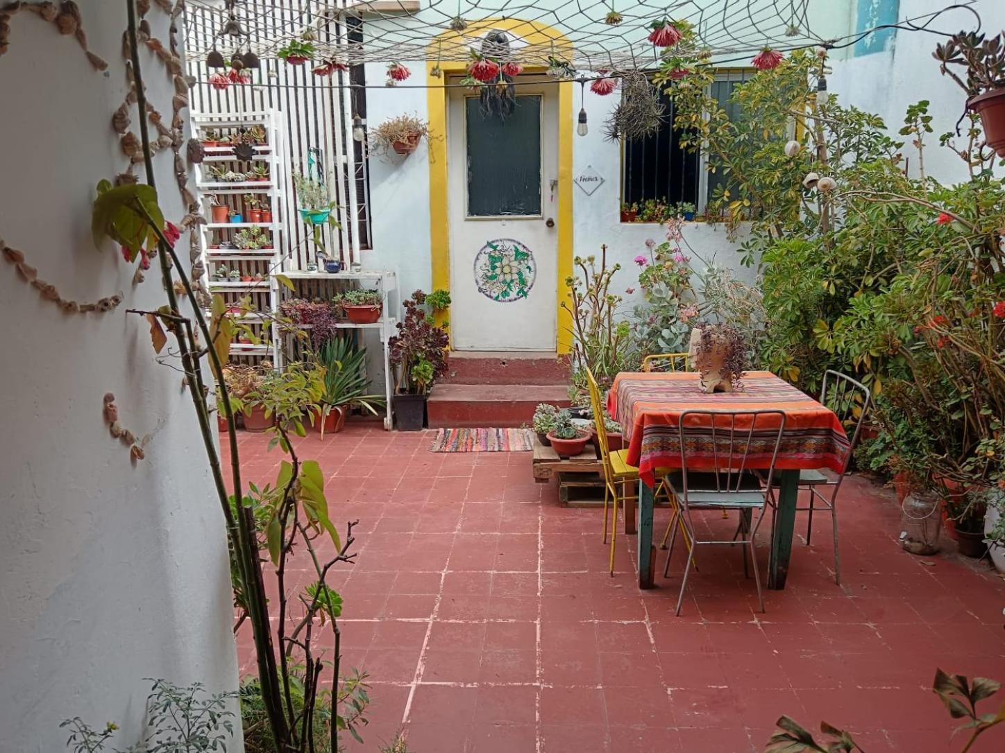 Espacio Floresta - Entre Plantas Y Arte Cartagena  Dış mekan fotoğraf