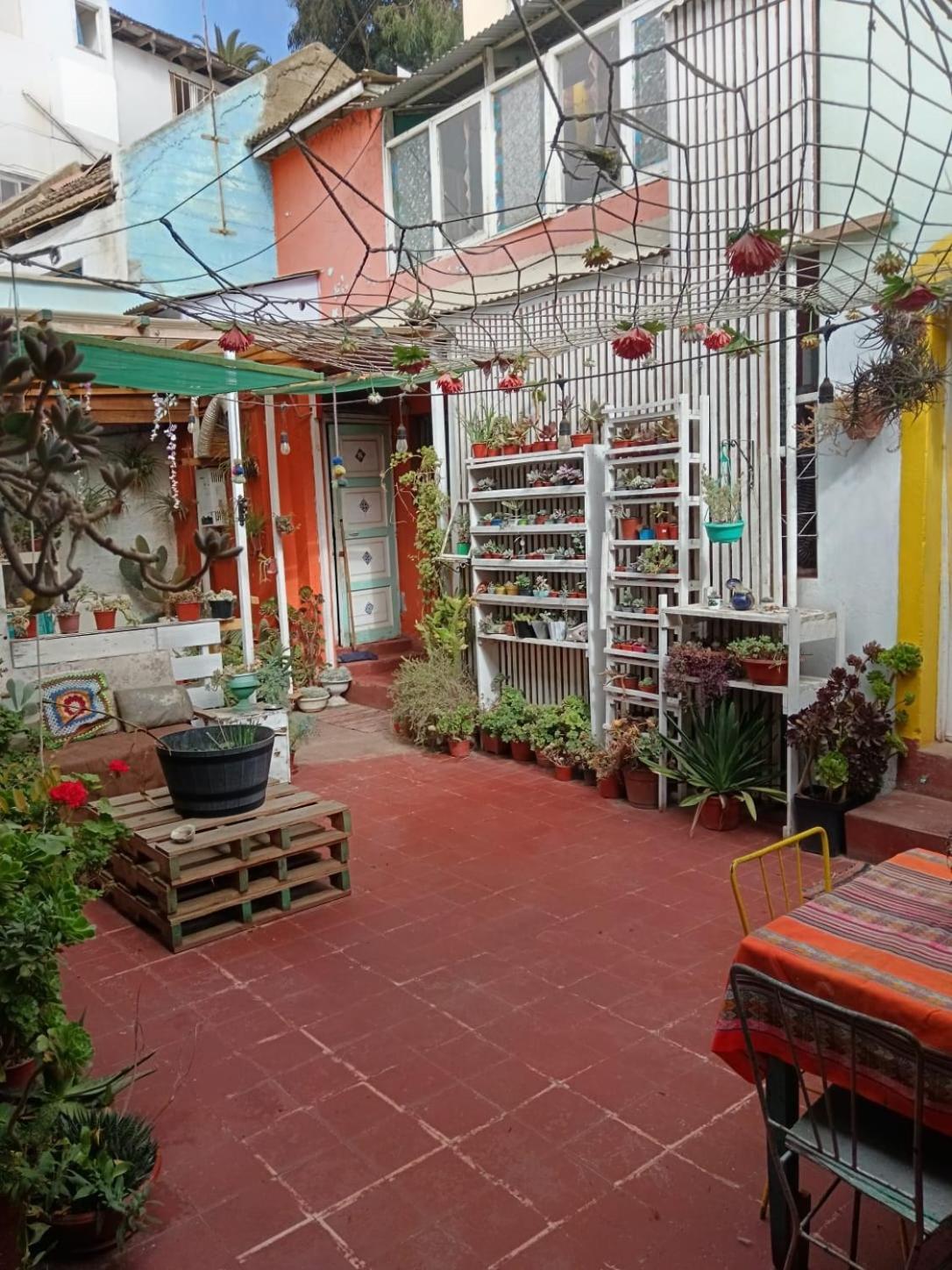 Espacio Floresta - Entre Plantas Y Arte Cartagena  Dış mekan fotoğraf